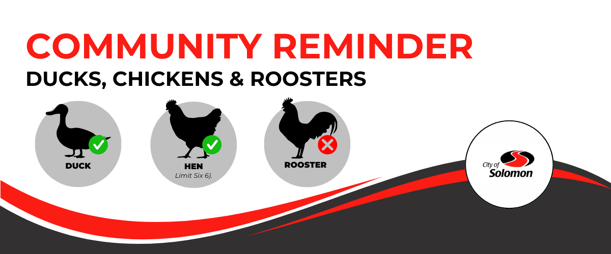 Ducks, chickens and rooster guideline title slide