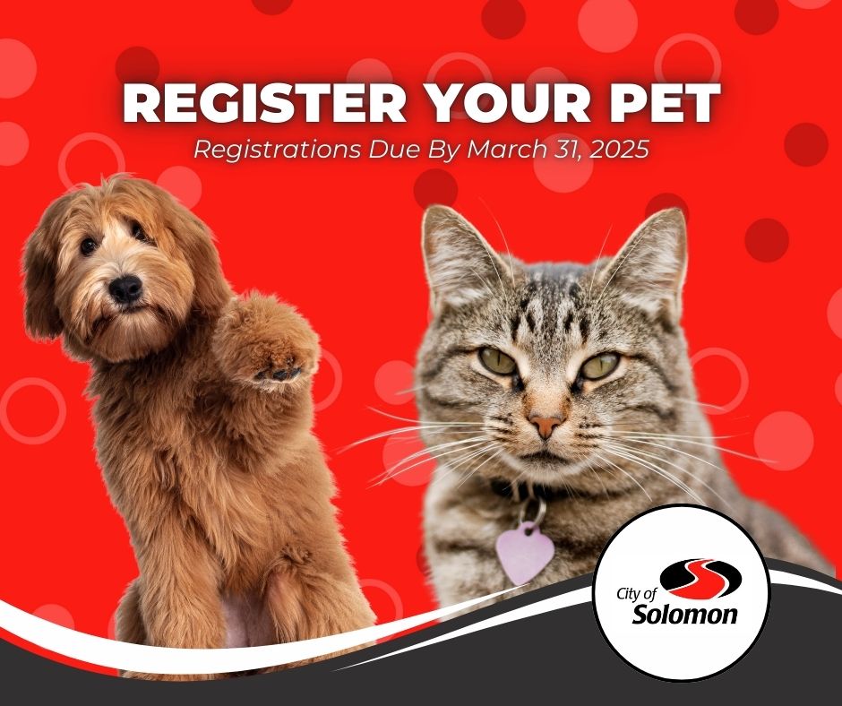 Pet Registration Due